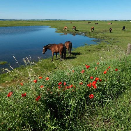 Ostsee Residenz Meeresblick Bellevue Insel Poel Luaran gambar