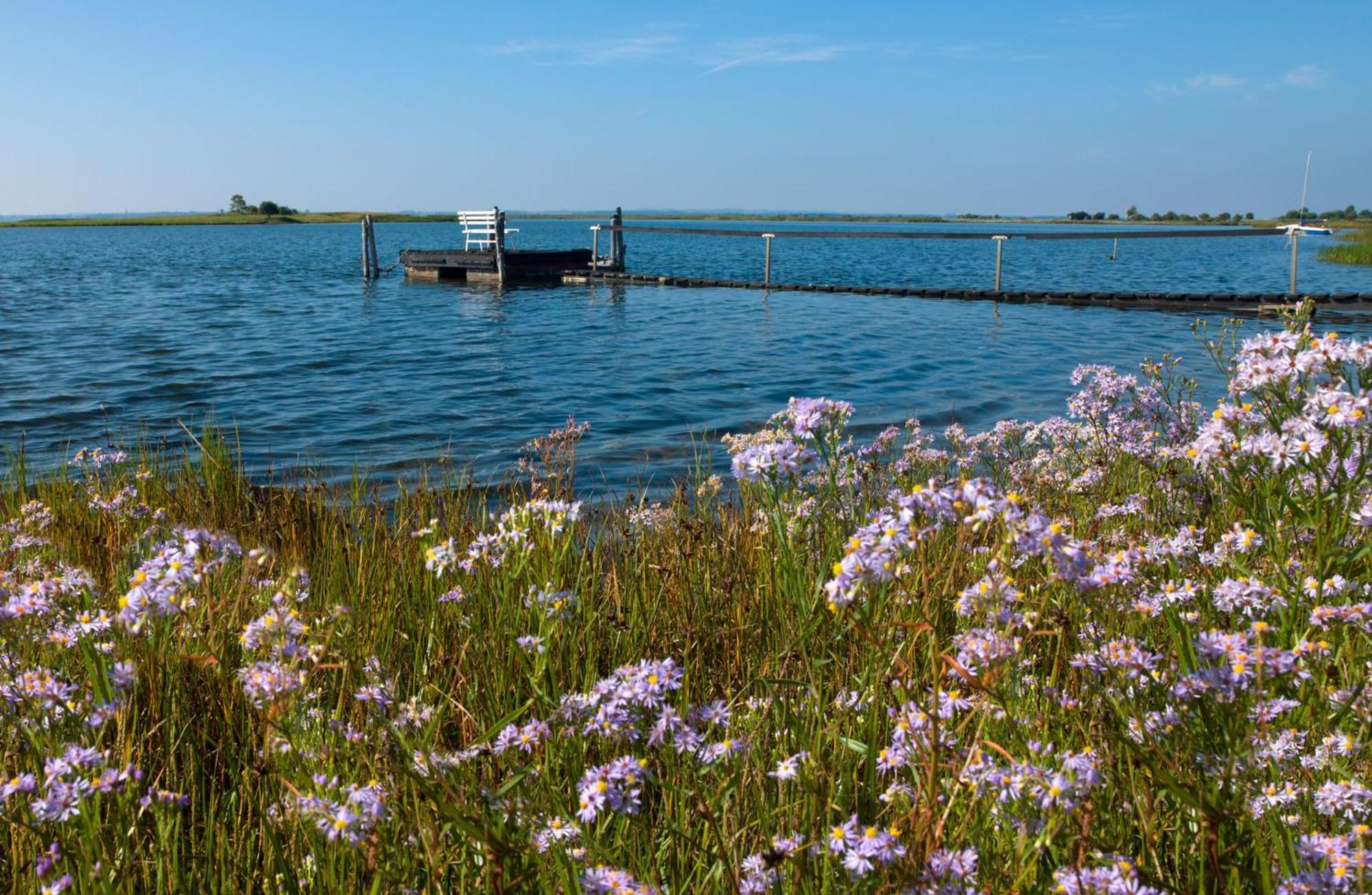 Ostsee Residenz Meeresblick Bellevue Insel Poel Luaran gambar